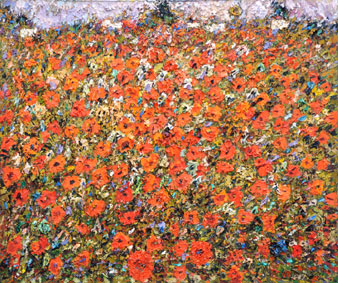 Poppies