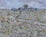 Muddy road