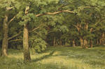 The forest clearing