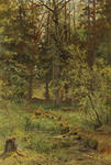 Forest landscape