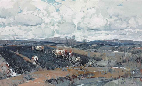 Open fields