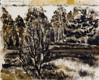 Two forest landscapes