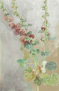 Hollyhocks