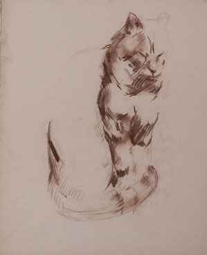 Chat/Lionne/Girafe/Singe