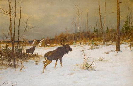 Moose in a snowy clearing