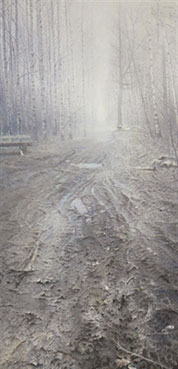 A birch grove on the edge of Moscow
