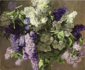 Clusters of white, pink and purple lilacs