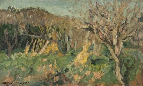 Paysage vert