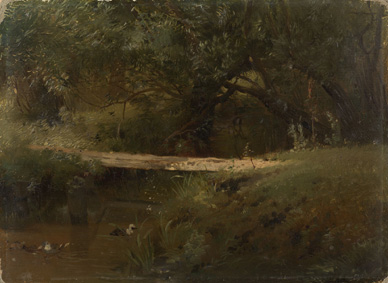 Forest lake