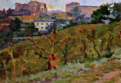 Kyiv`s landscape