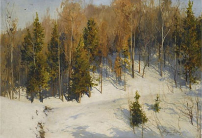 Winter sun