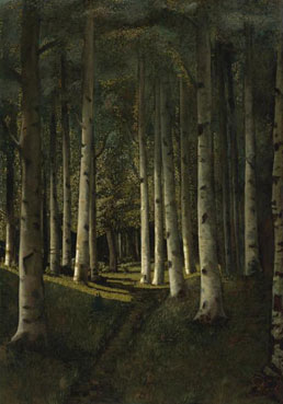 Birch grove