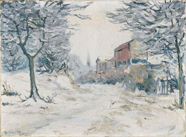 Snowy homes