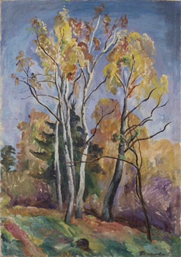 Birch tree in autumn