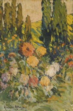 Sunlit flowers