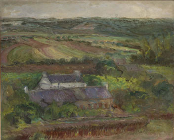 Cottage in the field