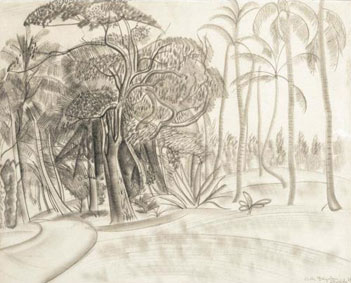 A forest in Florida
