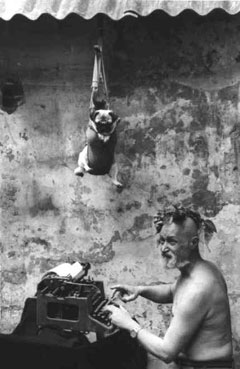 Poet