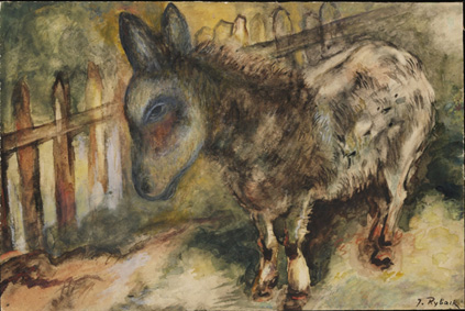 Village donkey