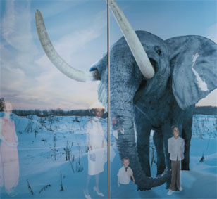 Mammoth from the window series