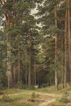 A summer day, Merikiul`