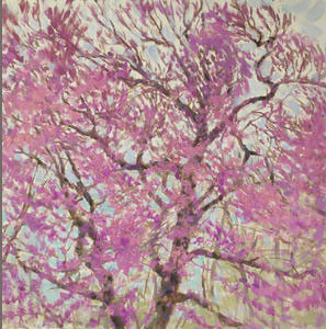 Trees in flower
