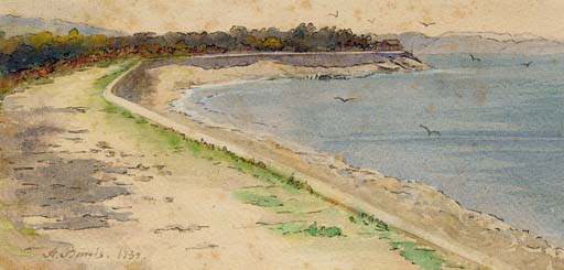 The shore