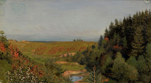 Summer landscape