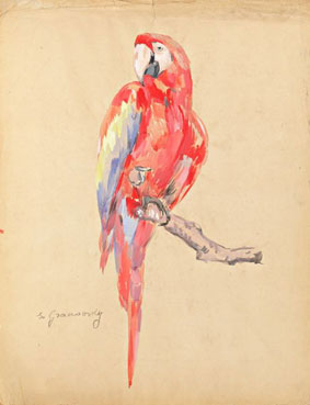 Perroquet 