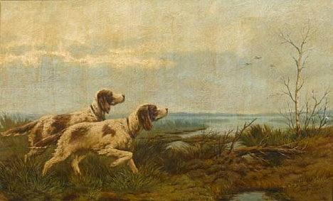 English setters on point
