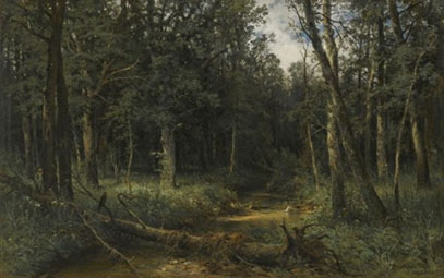 The dark wood