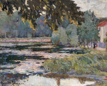 Lake with water-lilies