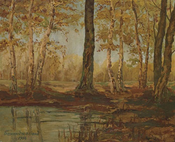 View through trees to a clearing beyond