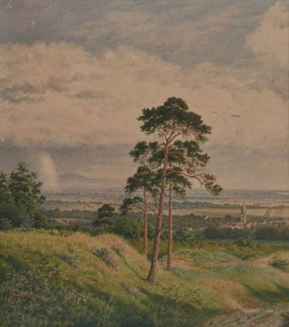 Native fields