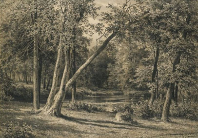 Woodland pond