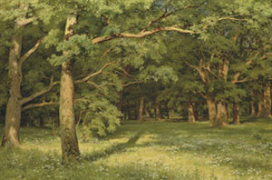 The forest clearing