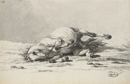 Stallion rolling; facing out