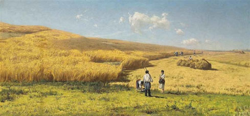 Harvest in the Ukraine