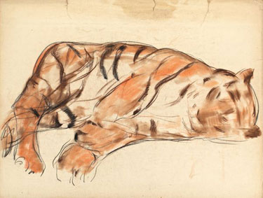 Tigres et léopards