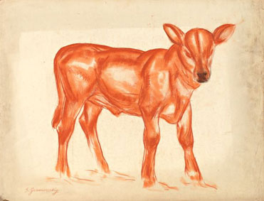 Veau