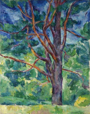Pinetree