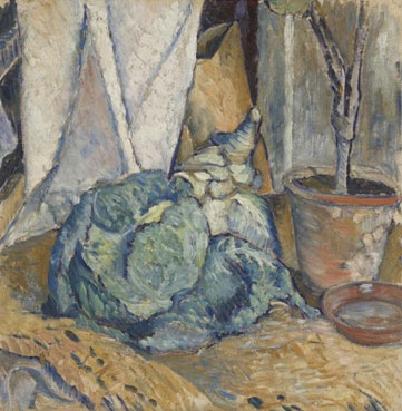 Still life with cabbage