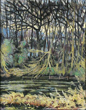 Sous-bois