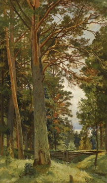 The clearing