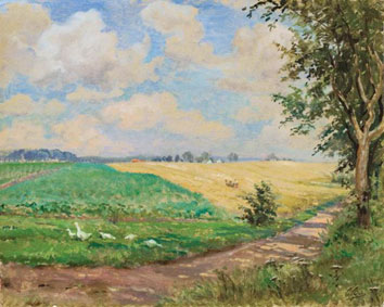 Sunny day
