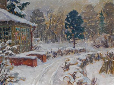 A garden in winter