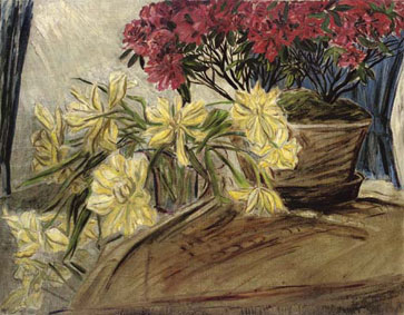 Azaleas