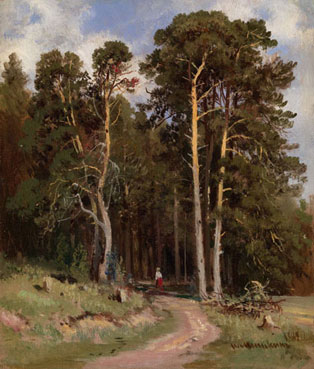 Forest path