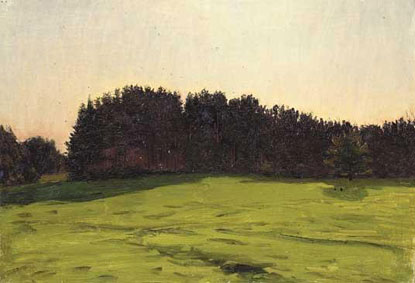 Landscape with the pine trees