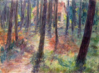 Summer forest